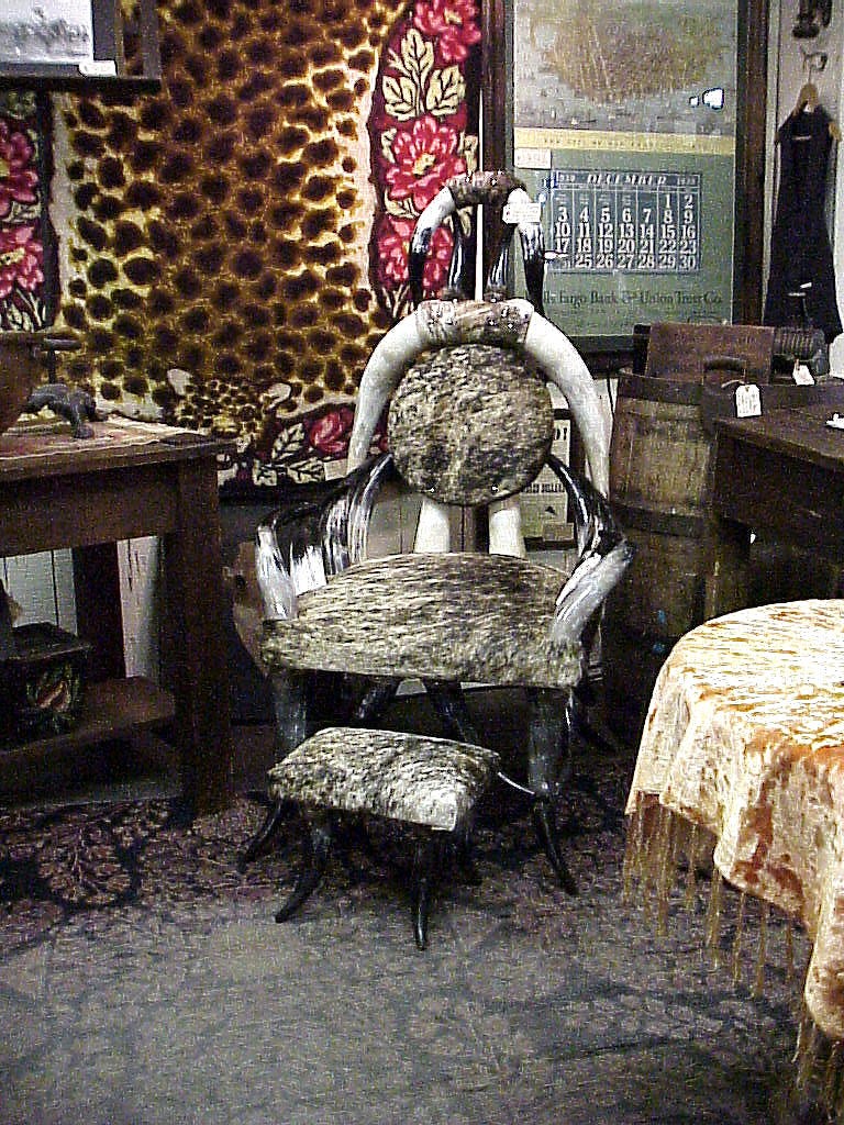 Steerhorn Chair with Cowhide & Grey Stool