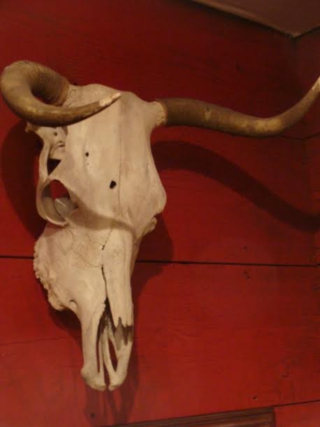 Montana Steer Skull from the Ranger’s Collection